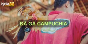 đá gà campuchia